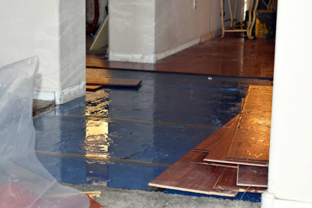 Professional Emergency Water Damage Restoration technician working in Milford, TX