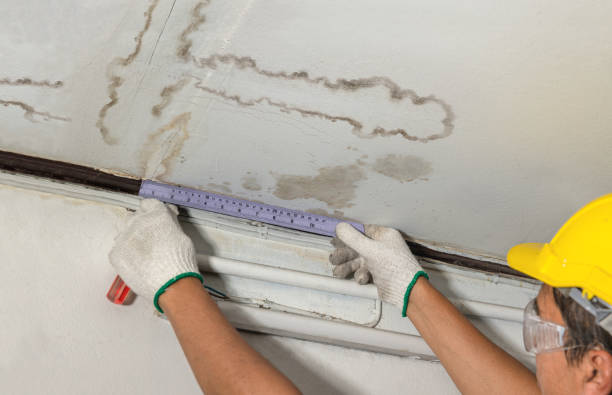 Reliable Emergency Water Damage Restoration contractor in Milford, TX by Water Damage Irwin